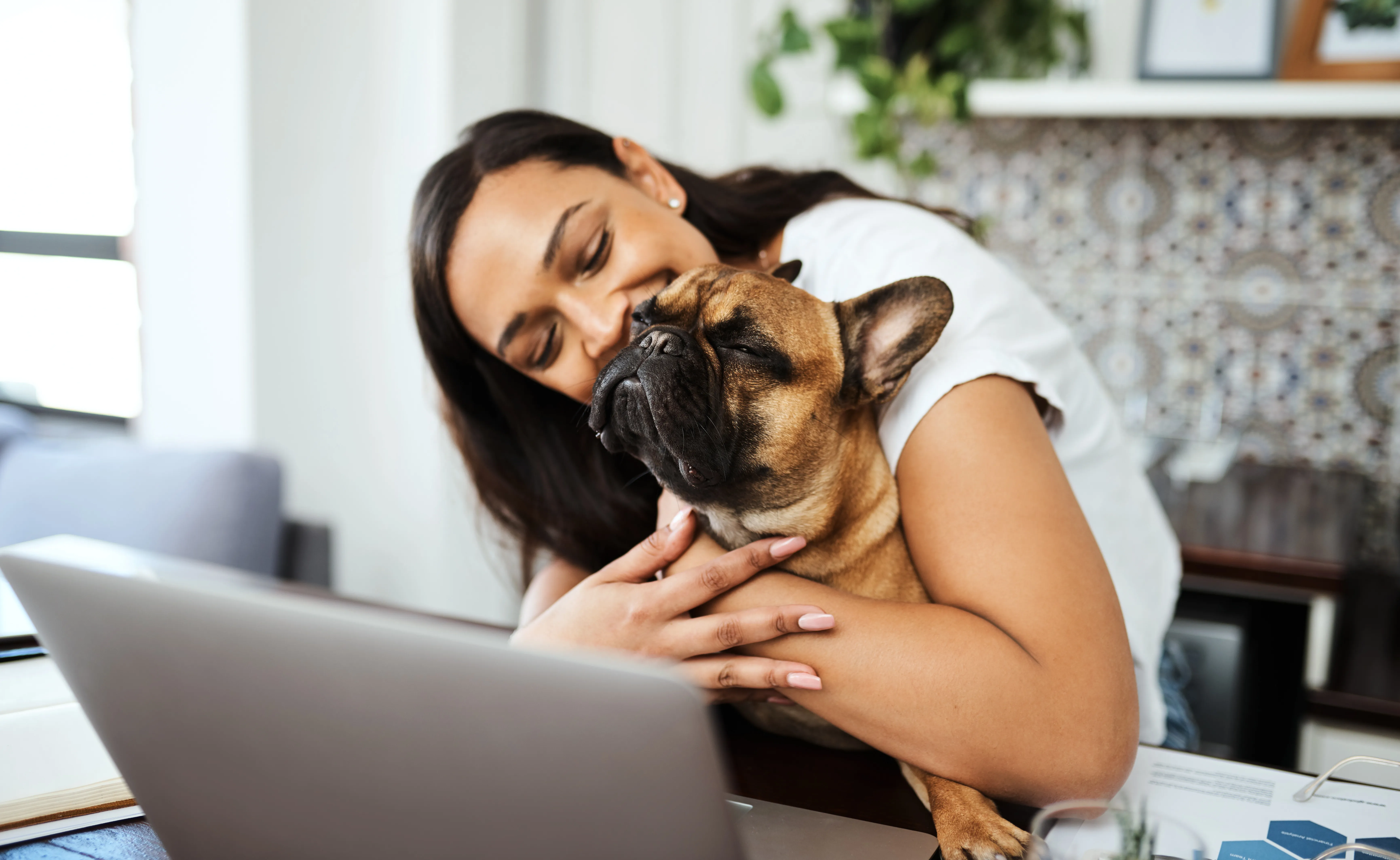 Pet Sitter holding dog while working on PC